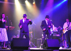 Live tribute bands performing on stage